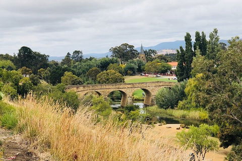 Day Tour In Mt. Field, Mt. Wellington, Bonorong Wildlife Sanctuary And Richmond - Kempsey Accommodation 3