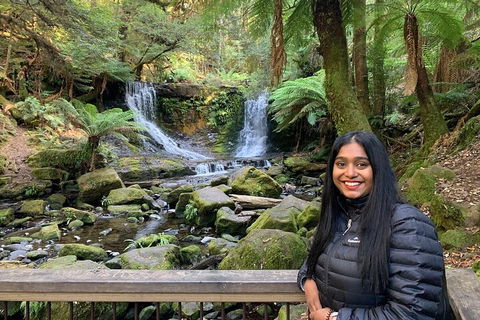 Day Tour In Mt. Field, Mt. Wellington, Bonorong Wildlife Sanctuary And Richmond - Kempsey Accommodation 5
