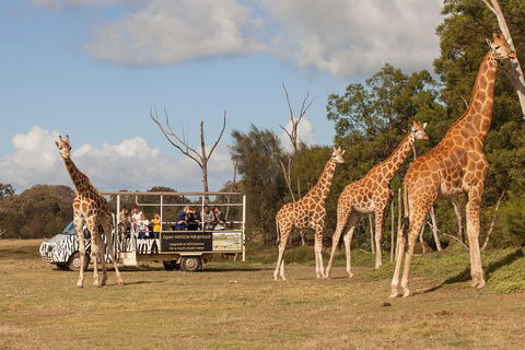 Off-Road Safari At Werribee Open Range Zoo - Kempsey Accommodation 3