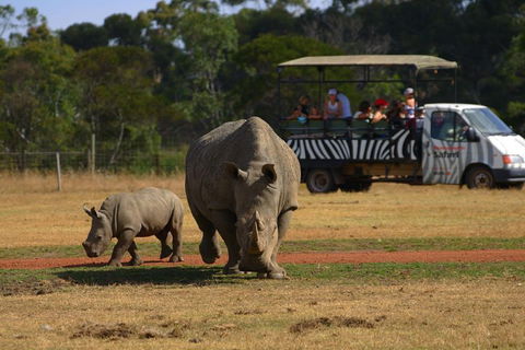 Off-Road Safari At Werribee Open Range Zoo - Kempsey Accommodation 5