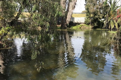 Perth East Foreshore And City Segway Tour - Kempsey Accommodation 1