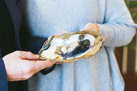 Half-Day Willie Creek Pearl Farm Tour With Helicopter Flight - Kempsey Accommodation 3