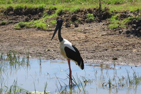 Darwin To Kakadu Day Trip By Air Including Yellow Water Cruise - Kempsey Accommodation 0