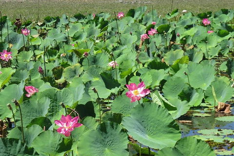 Darwin To Kakadu Day Trip By Air Including Yellow Water Cruise - Kempsey Accommodation 2
