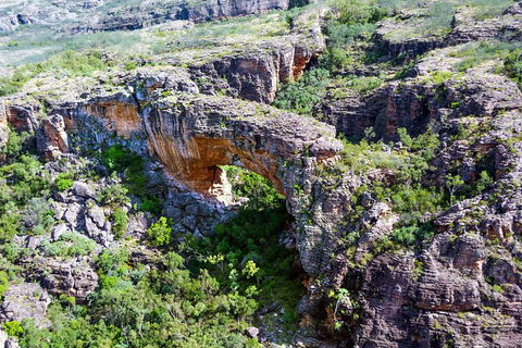 Darwin To Kakadu Day Trip By Air Including Yellow Water Cruise - Kempsey Accommodation 4