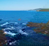 Julian Rocks Byron Bay Cruise - Kempsey Accommodation