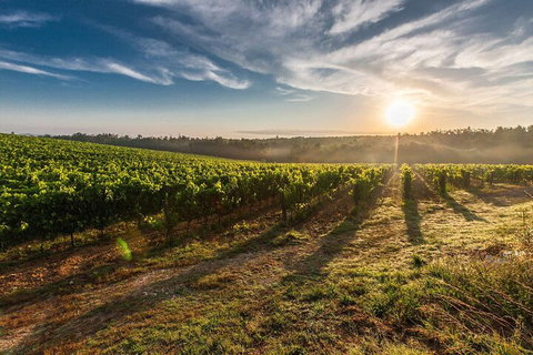 Perth To Margaret River Wine Tour - 2 Day Premium Boutique Wine Tour Experience - Kempsey Accommodation 0