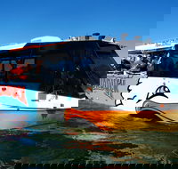 Paradise Jet Boating and Aquaduck Combo - Kempsey Accommodation