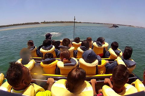 Jet Boat Express Ride - 30mins - Kempsey Accommodation 5