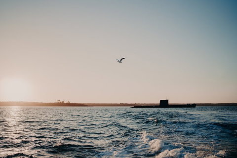 Phillip Island Twilight Cruise - Kempsey Accommodation 1