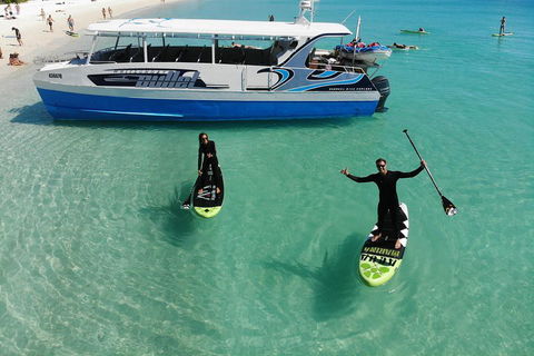 Whitsunday Bullet Day Trip - Whitehaven Beach And Snorkelling - Kempsey Accommodation 4