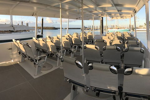 Whitsunday Bullet Day Trip - Whitehaven Beach And Snorkelling - Kempsey Accommodation 5