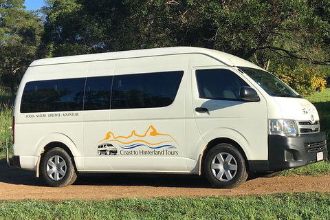 Noosa Everglades Serenity Cruise & Highlights Tour Inc. Lunch & Cruise - Kempsey Accommodation 5