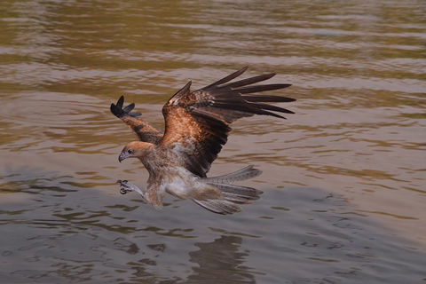 Litchfield And Jumping Crocodiles Full Day Trip From Darwin - Kempsey Accommodation 0