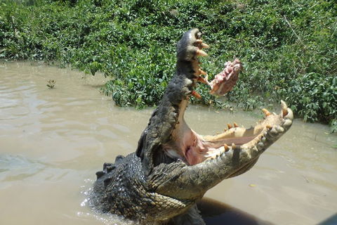 Litchfield And Jumping Crocodiles Full Day Trip From Darwin - Kempsey Accommodation 3