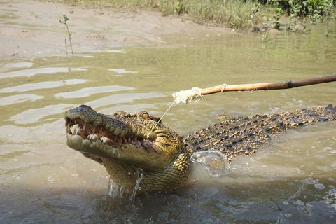 Litchfield And Jumping Crocodiles Full Day Trip From Darwin - Kempsey Accommodation 4