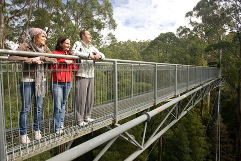Adventure Sunset Three Day Great Ocean Road Tour - Kempsey Accommodation 0