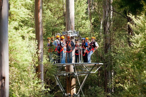 Adventure Sunset Three Day Great Ocean Road Tour - Kempsey Accommodation 1