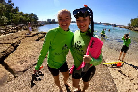 Manly Snorkel Trip And Nature Walk With Local Guide - Kempsey Accommodation 1