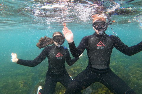 Manly Snorkel Trip And Nature Walk With Local Guide - Kempsey Accommodation 3
