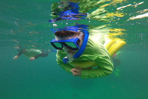 Manly Snorkel Trip And Nature Walk With Local Guide - Kempsey Accommodation 5