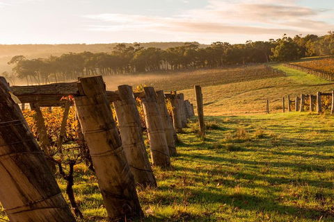 The All About Margaret River Tour: Wine, Coffee, Lunch And Forest - Kempsey Accommodation 5