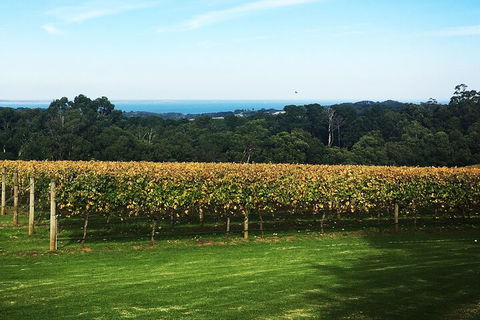 Yarra Valley Wine Tour Inc Lunch With A Glass Of Wine, Tastings And Chocolate - Kempsey Accommodation 2