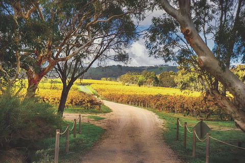 McLaren Vale Winery Small Group Tour With Wine Tasting And Lunch - Kempsey Accommodation 1