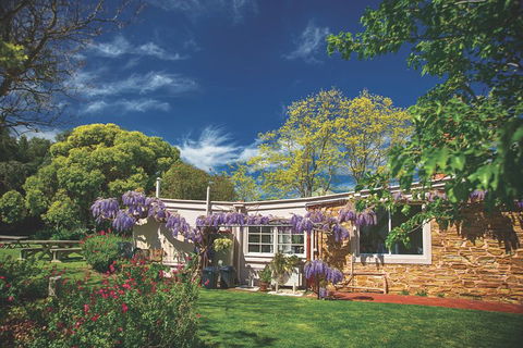 McLaren Vale Winery Small Group Tour With Wine Tasting And Lunch - Kempsey Accommodation 2