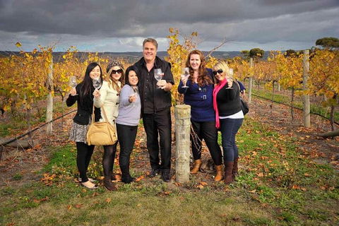 McLaren Vale Winery Small Group Tour With Wine Tasting And Lunch - Kempsey Accommodation 3