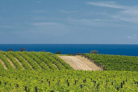 McLaren Vale Winery Small Group Tour With Wine Tasting And Lunch - Kempsey Accommodation 4
