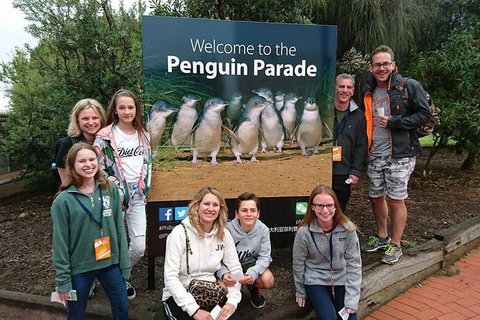 Phillip Island Medium Size Group Tour - Kempsey Accommodation 5