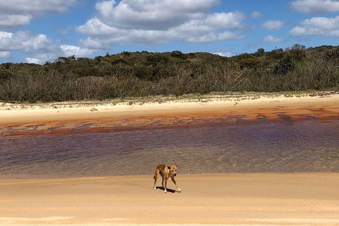 Pippies 3 Days 2 Nights Fraser Island Tour - Kempsey Accommodation 2