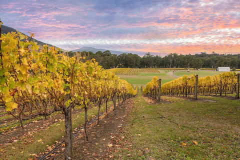 Yarra Valley Boutique Winery Tour From Melbourne - Kempsey Accommodation 3
