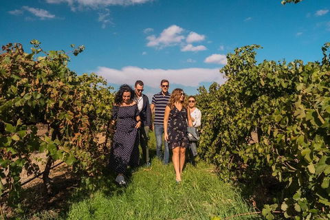 Barossa Valley Private Tour (from 2 To 11 People) - Kempsey Accommodation 0