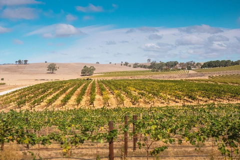 Barossa Valley Private Tour (from 2 To 11 People) - Kempsey Accommodation 2