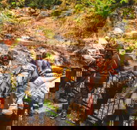 Full-day Springbrook National Park Tour from the Gold Coast - Kempsey Accommodation