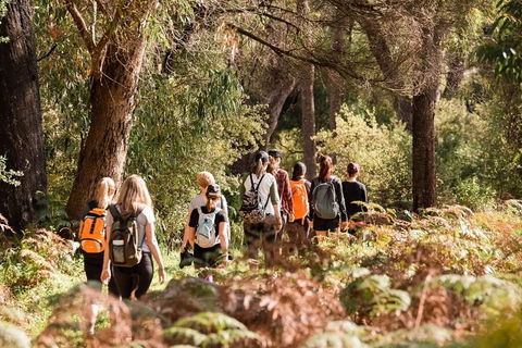Half-Day Yanchep Ghost House Wilderness Guided Hike Tour - Kempsey Accommodation 0