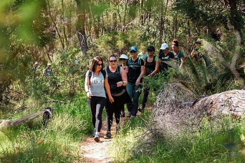 Half-Day Yanchep Ghost House Wilderness Guided Hike Tour - Kempsey Accommodation 3
