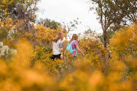 Half-Day Yanchep Ghost House Wilderness Guided Hike Tour - Kempsey Accommodation 4