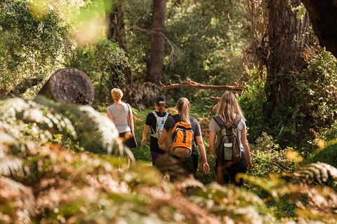 Half-Day Yanchep Ghost House Wilderness Guided Hike Tour - Kempsey Accommodation 5