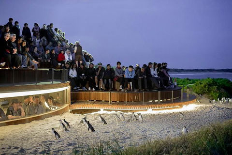 Phillip Island And French Island Wildlife Expedition - Kempsey Accommodation 5