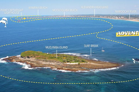 1.5HR Mudjimba Island Wildlife Safari - Kempsey Accommodation 1