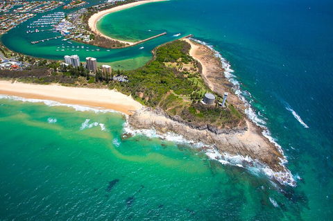 1.5HR Mudjimba Island Wildlife Safari - Kempsey Accommodation 5