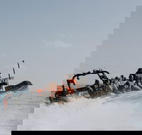 Adventure Whale Watching Tour Mooloolaba - Kempsey Accommodation