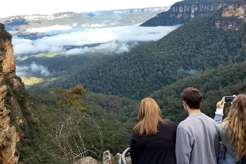 Blue Mountains Private Tour - Wild Kangaroos, Waterfalls And The Three Sisters - Kempsey Accommodation 3