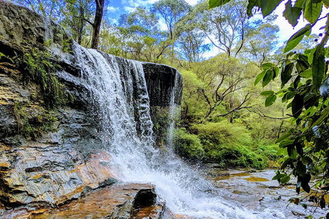 Blue Mountains Private Tour - Wild Kangaroos, Waterfalls And The Three Sisters - Kempsey Accommodation 5