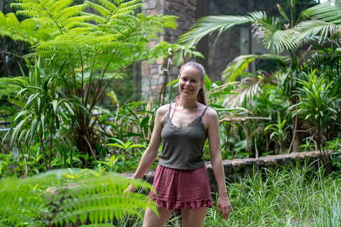 Full-Day Guided Hinterland Adventure Tour In Queensland - Kempsey Accommodation 0