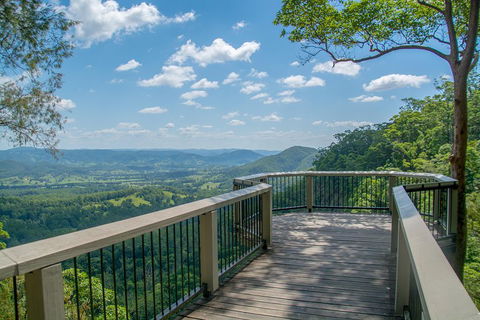 Full-Day Guided Hinterland Adventure Tour In Queensland - Kempsey Accommodation 2