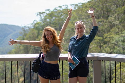 Full-Day Guided Hinterland Adventure Tour In Queensland - Kempsey Accommodation 3